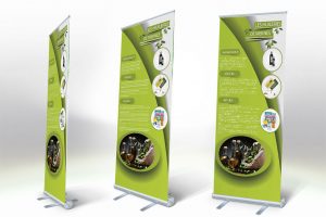 Fes Marketing Service